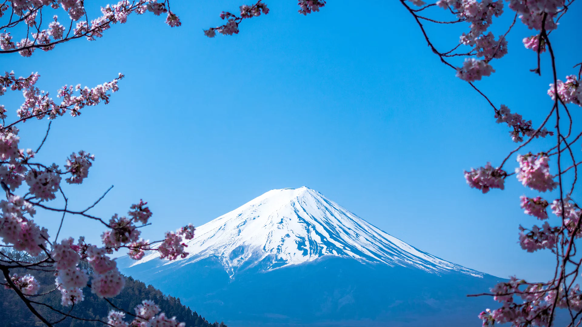 Monte Fuji y Lago Kawaguchi al Amanecer (FullHD)