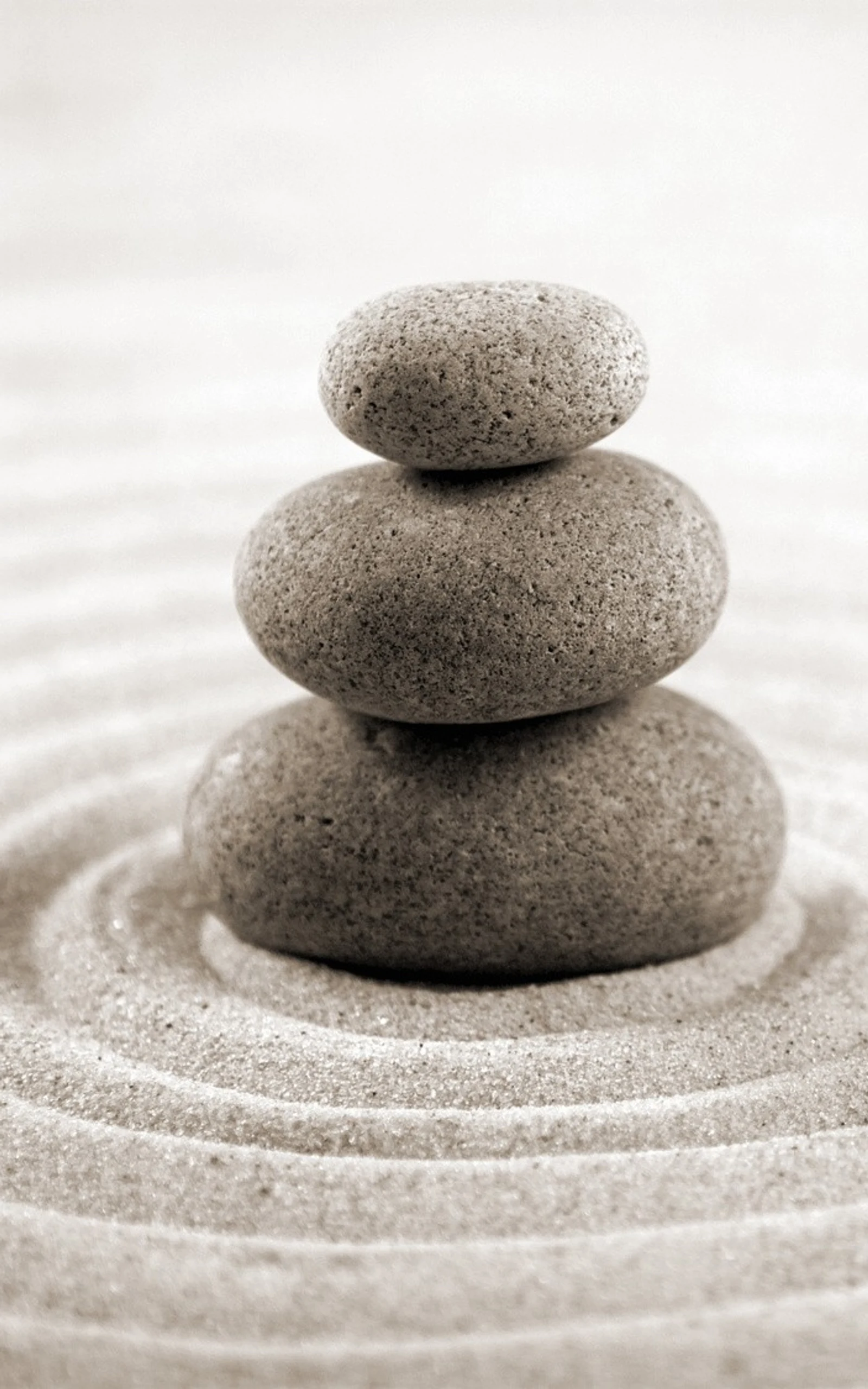 Equilibrio Zen de Rocas y Bambú Negro (Tablet 2.5K)