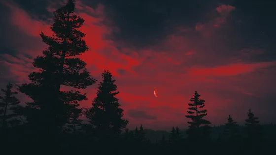 Cañón de Arenisca Roja al Atardecer (FullHD)